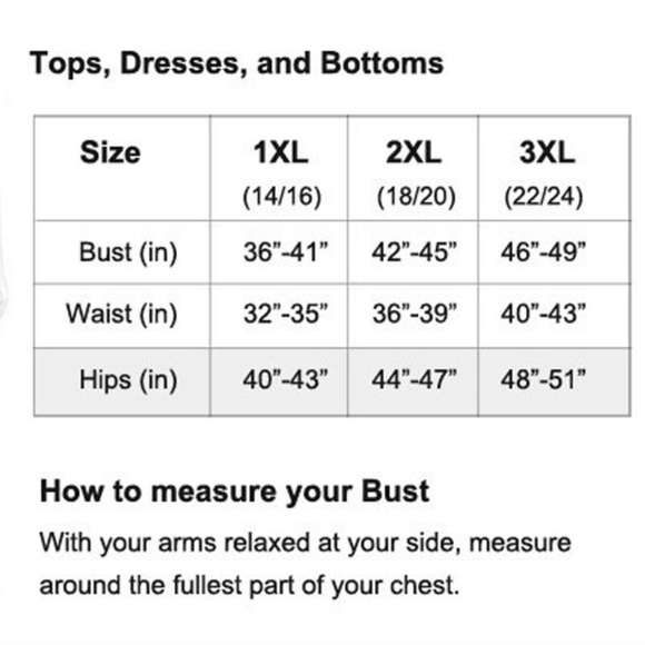 Plus Size Short Sleeve Knit Top with Rounded Hem - Picture 4 of 4